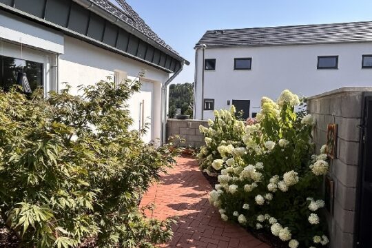 Weg zum Eingang