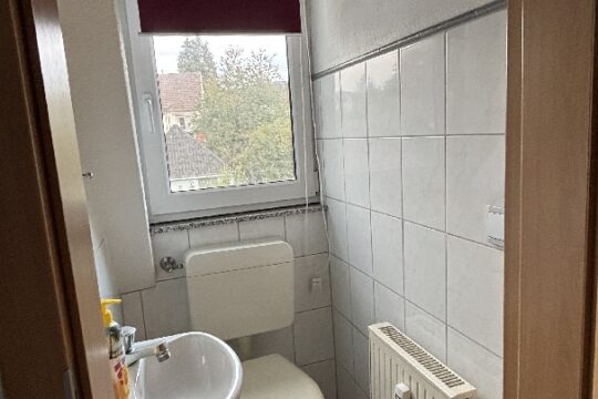 WC DG (im Treppenhaus)