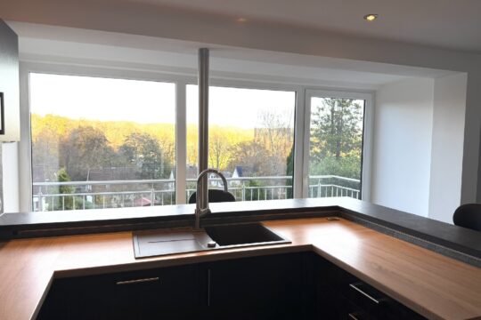 Ausblick aus der Küche im EG