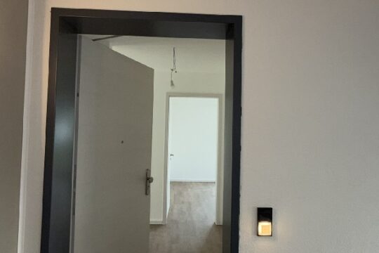 Wohnungseingangstür