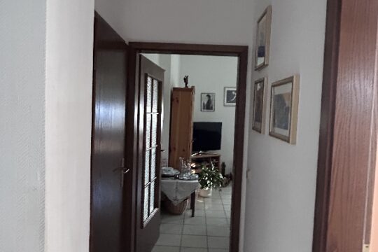 Wohnung im Erdgeschoss