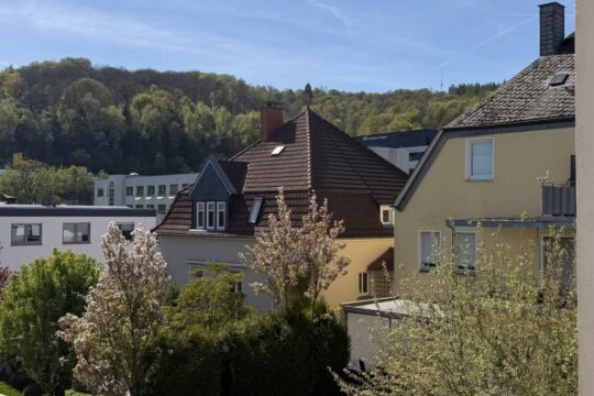 Ausblick